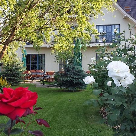 Villa Westfalia Guest House Tirgu Secuiesc Ngoại thất bức ảnh